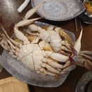 임성근의 국가공인 진갈비 이미지