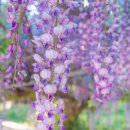 합도초등학교 이미지