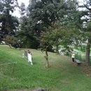 고아리벽화고분 이미지