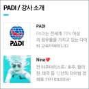 니나노 다이브 네이버블로그