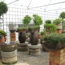 와와농장 이미지