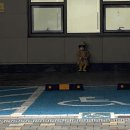 공일토스트 이미지