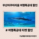 주식회사 씨에스엔아이 | 부산아이와 가볼만한곳 씨라이프 부산아쿠아리움 여행특공대 티켓 할인꿀팁