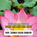 연꽃단지 화장실 네이버블로그