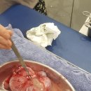 장수동물의료원 이미지