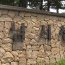 의료법인메디피아 메디피움분당의원