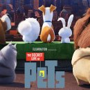 The secret life of pets 2 Daum카페