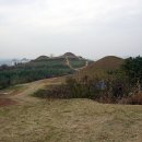 함안 말이산고분군 이미지