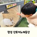 산토끼노래동산 | 대구 근교 아이랑 나들이, 경남 창녕 산토끼노래동산 후기