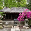 청원정수기업 | 관월당 문화재 유출 사건의 진실