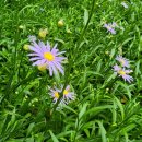 치악산매표소_신흥동화장실 이미지