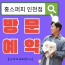 퍼피에몽 강아지분양 시흥본점 | 인천강아지분양 인천애견샵 인천애견분양-홍스퍼피