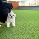 말랑유치원 이미지