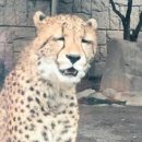 이목 | 이목 스모크 다이닝 다녀온 후기