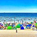 대천해수욕장 이미지