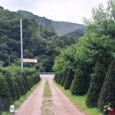 금화농원 이미지