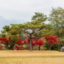 갈월서로 이미지