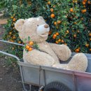 하율농장 이미지