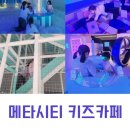 대구 롯데백화점 키즈카페 추천! 메타시티 대구점 내돈내산 후기