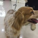 신석초교 이미지