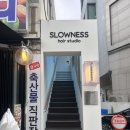슬로우니스