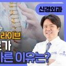 연세산돌병원 이미지