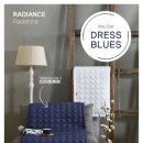 라디언스(주) 이미지