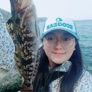 캠낚몰 | 부산근교캠핑 마산 안녕오토캠핑장 캠낚하기 너무 좋아요