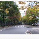 버드내 약국 네이버블로그