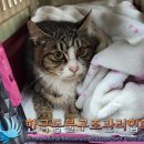 면목동-051 티스토리