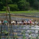 한양농장 이미지