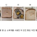 한국키즈태권도장 이미지
