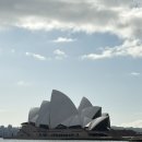 라모타A 이미지