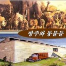 노아의방주