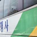 청실홍실여행사