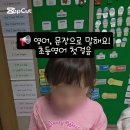 영어알파벳 기초(1차) Daum카페