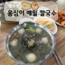 옹심이 칼국수 언양점 | 울산 맛집, 옹심이 메밀 칼국수 언양점 내돈내산 후기