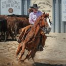 야구전용구장(영암종합스포츠타운) | [정보] 제104회 전국체육대회 종목별 경기장 정보