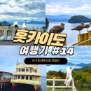 비소(조)-호-20 | 도야호의 파노라마 뷰를 볼 수 있는 사이로 전망대와 도야호 유람선 에스포아르 탑승 정보 및 후기