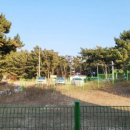 딸부자 펜션 이미지