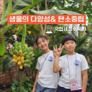 탄소중립 기후노트 | 국립세종수목원 투어 하림피오봉사단 후기 생물다양성과 탄소중립 반려식물 체험