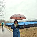 DMZ 평화의 길 25코스 이미지