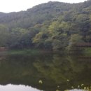 야호학산유아숲체험원 이미지