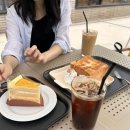 꽁냥파파
