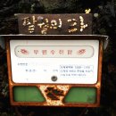 팔월의라 민박 이미지