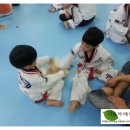 용인대능동태권도 이미지