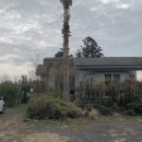 Nature mood house 이미지