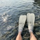 웨이트리 이미지