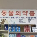 연신내약국 이미지