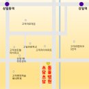 상일 쓰담쓰담 동물병원 | 방광 결석 수술 : 상일쓰담쓰담동물병원